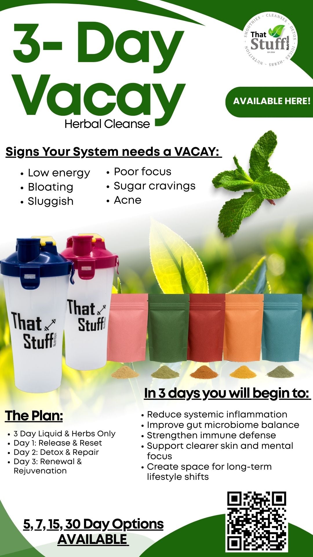 The 3-Day “Vacay” Shake & Go Cleanse
