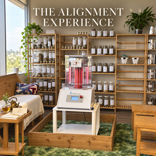 The Alignment Experience