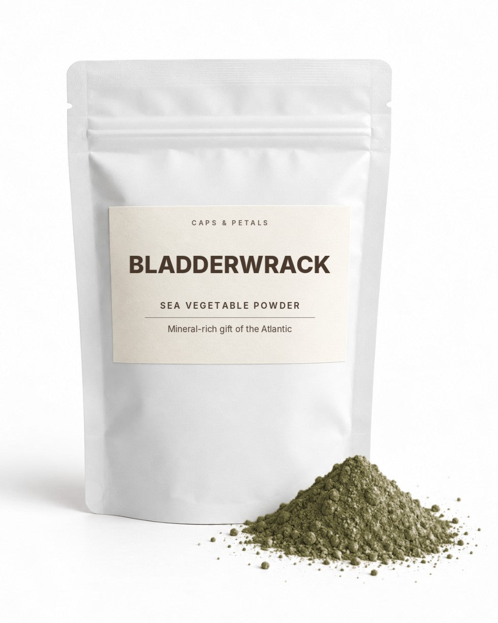 Bladderwrack sea vegetable powder by Caps & Petals in a white pouch